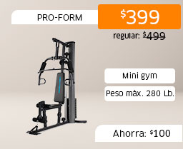 Mini gym power xt Pro-Form